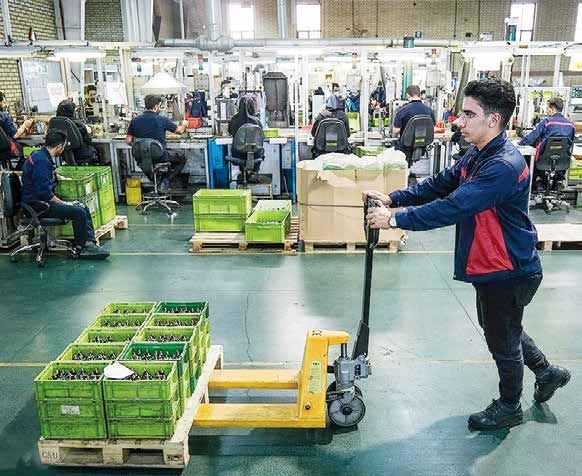 قیمت‌گذاری دستوری مانع پرداخت مطالبات قطعه‌سازان است