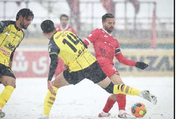 

برد برفی اوسمار