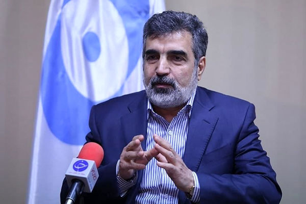 

تمرکز ما بر همکاری هسته‌ای با روسیه است