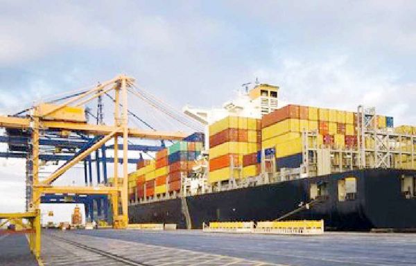 فشار سهمیهبندی واردات حبوبات بر شرکتهای کوچک و متوسط