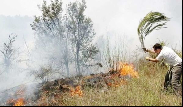 
محیط‌بانان به تجهیزات استاندارد اطفا دسترسی ندارند