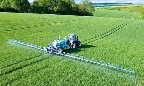 مدیریت سنتیِ امرونهی‌کن، از مهمترین چالش‌های وزارت جهاد است