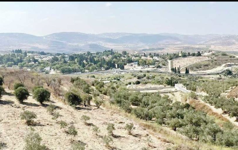 موافقت کابینه اسرائیل 

با  ساخت  ۱۹ شهرک در کرانه باختری