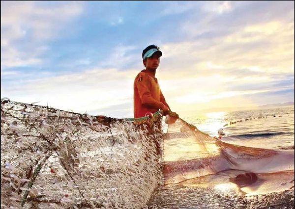 کار سخت تا پای جان و ضربه به محیطزیست