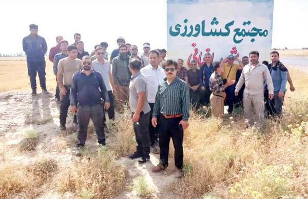 کارگران مجتمع کشت و صنعت باغبانی
سه ماه مزد طلبکارند