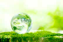 
نفس عمیق زمین به برکت کرونا ویروس!