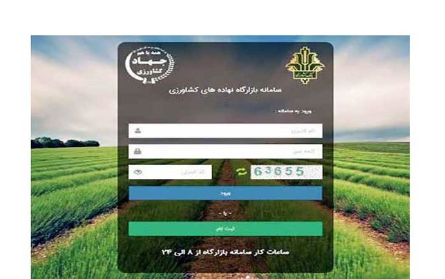 تعداد دلالان در سامانه «بازارگاه» از کل واردکنندگان بیشتر است