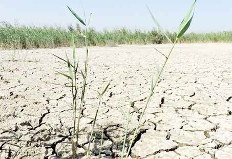 رد پای چین در تراژدی هورالعظیم