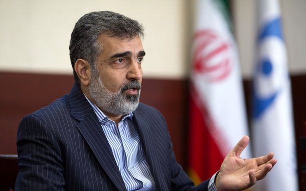 کمالوندی: صنعت هسته‌ای متوقف نخواهد شد
