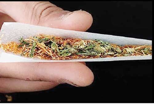 توهمزایی گل در ایران ۱۰برابر اروپاست