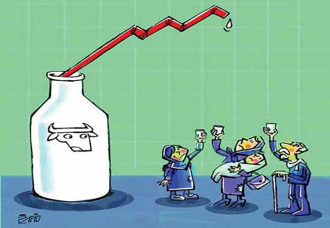 قیمت شیرخام در 5 ماه گذشته به اندازه 60 سال افزایش یافت