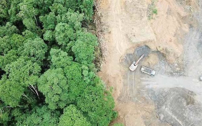 رد زمین‌خواری در تصاویر خاکستری الیت