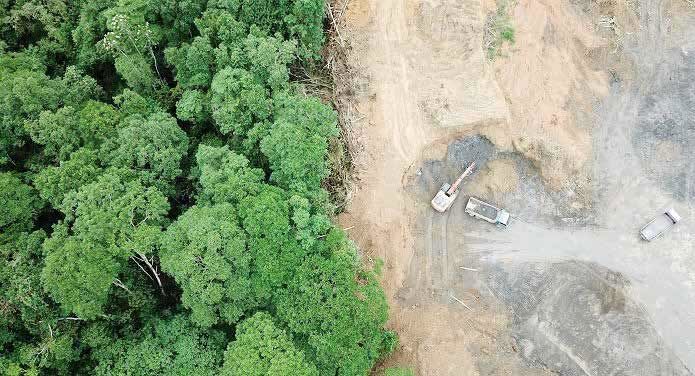 رد زمین‌خواری در تصاویر خاکستری الیت