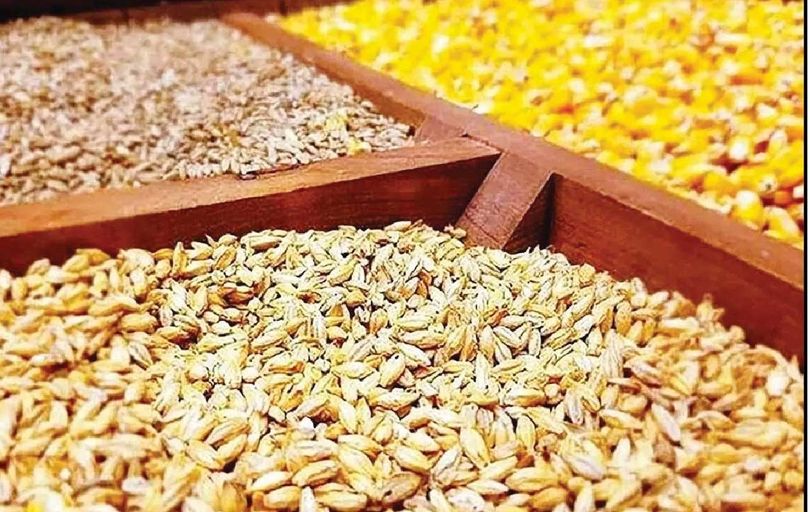 
جولان دلالان موجب شکست سامانه بازارگاه شد