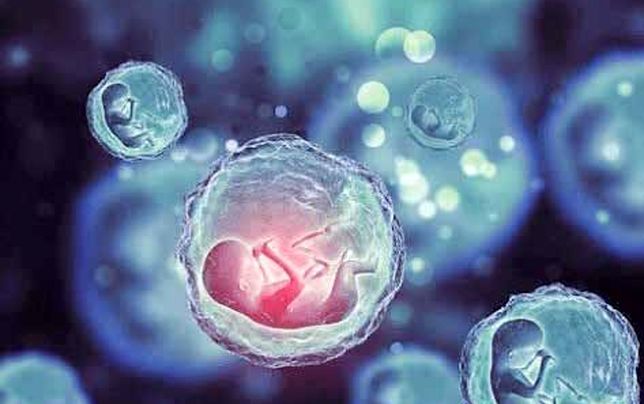 شکست قانون جوانی جمعیت در جدال با مشکلات مبتلا به جامعه