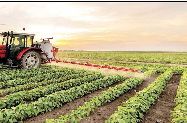 
تمرکز ۶۰ درصد زمین‌های زراعی در ۹ استان 