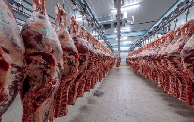 
گوشت مغولستان، ترانزیتی بوده 
و در گمرک توقیف است