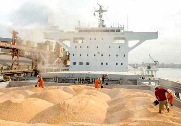 تداوم چالش تامین نهاده به کمبود مرغ می‌انجامد