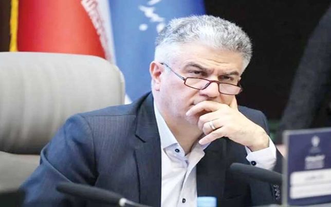 
طرح پزشک خانواده درصورت تأمین منابع کاملاً اجرایی است