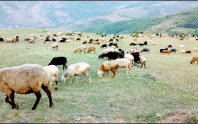 ایران؛ مقام نخست فرسایش خاک در جهان