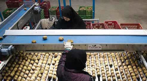 
زنان کارگر در منگنه حقوق پایین و ترس از اخراج